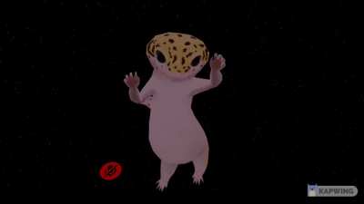That Feeling When Your New Gecko Finally Eats After A Week! :P