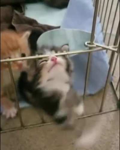 The door is right there!