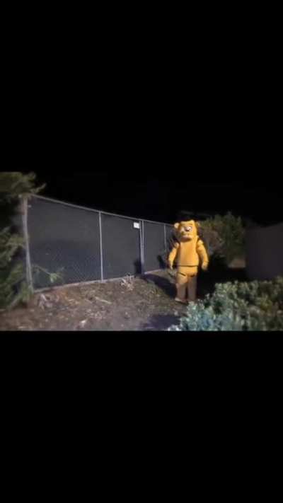 freddy ?