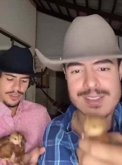 Diga n&atilde;o ao vape 😡, fume pintinho