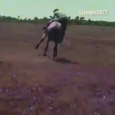 Eski ama &ccedil;ok kral haraket