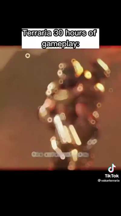 Credit: vakarterraria in tiktok