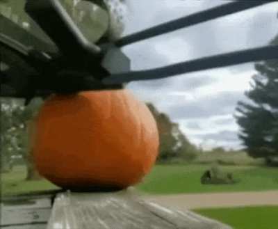 sdagsadhsdfhndfb