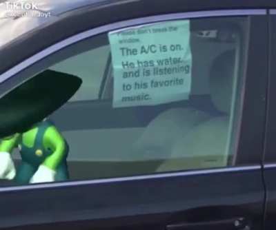 Luigi_irl
