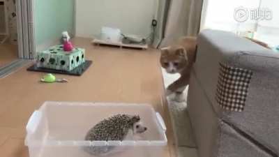 Maybe Maybe Maybe