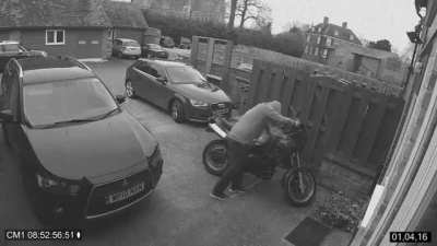 Bike Theft