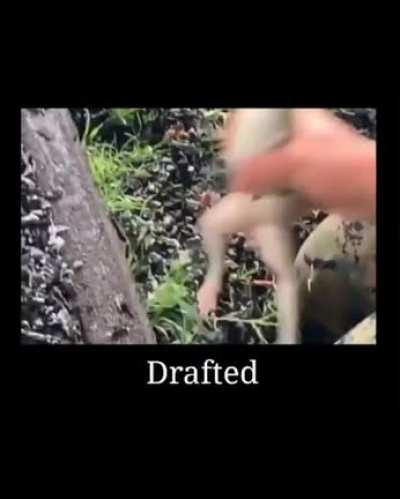 Drafted.