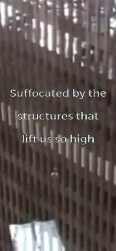 We are all insects