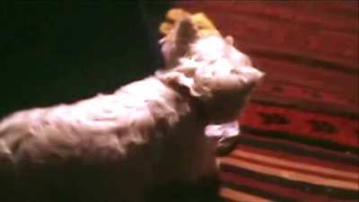 Tara Reid deleted scene from Urban Legend (1998)