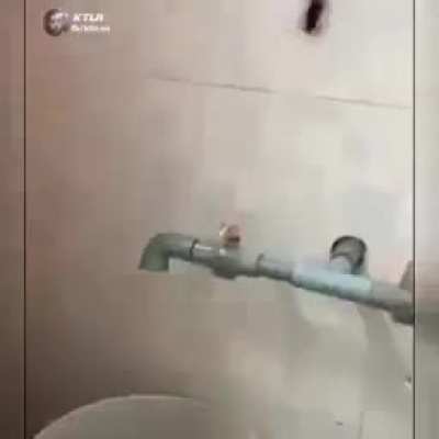 V&iacute;deo de horror