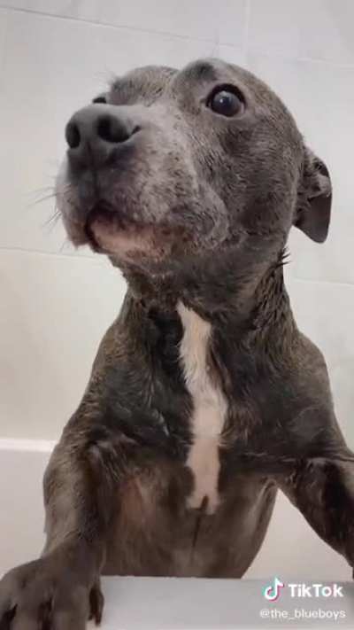 It&rsquo;s to cute I can&rsquo;t think of a title
