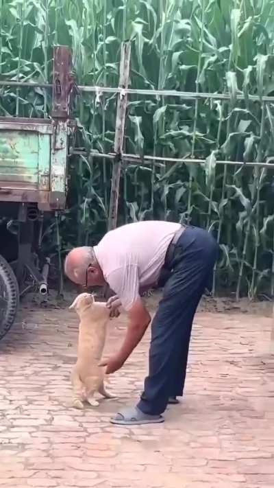 Которюкзак.