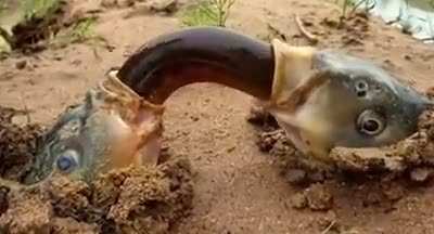Holup what are they doin ?! O_o