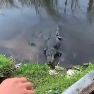 В большой семье...