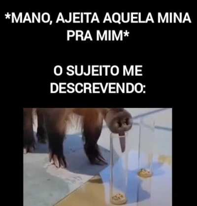 Belo amigo