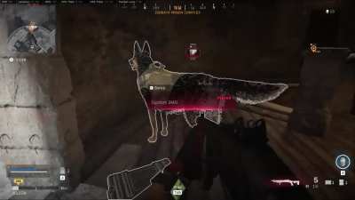A custom SMG