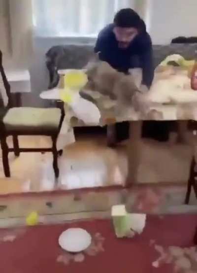 Bringing a pig to the table