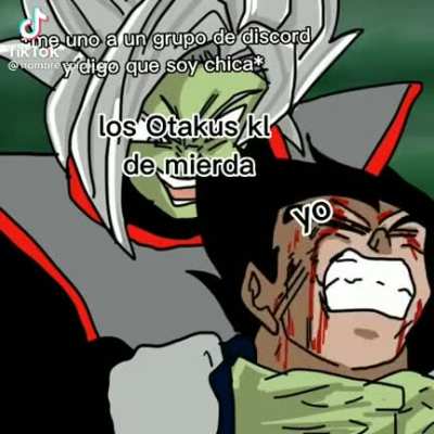 Otakus kls hdspt