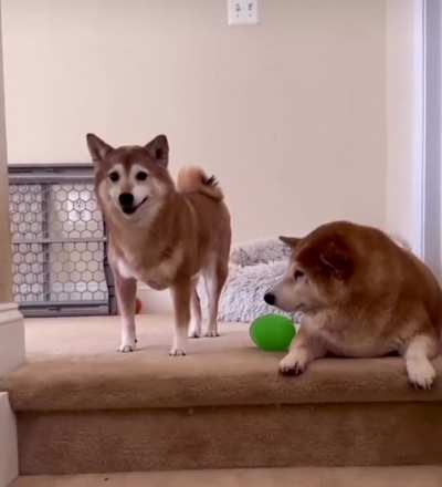 Boo-Boo ain&rsquo;t having it