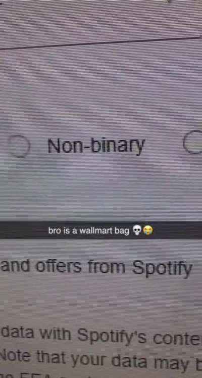 Wallmart bag