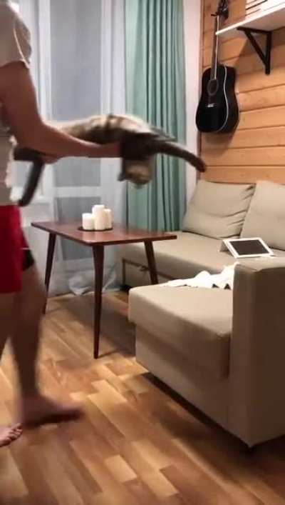 Beautiful morning dance with cat