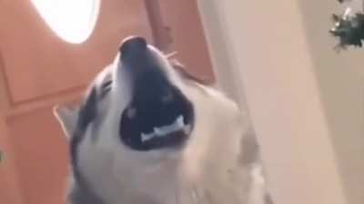 an opera singer