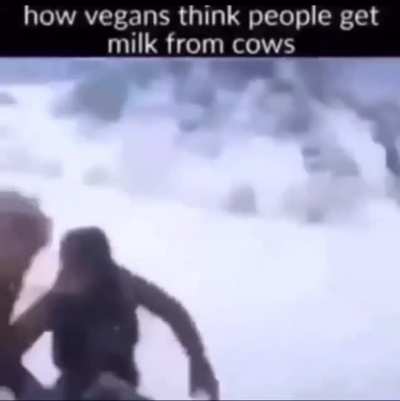 I say we should mass spread this to r/vgan
