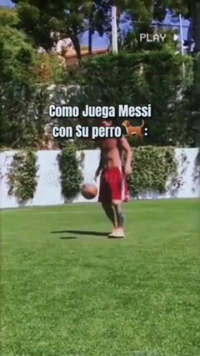 Que grande el bicho