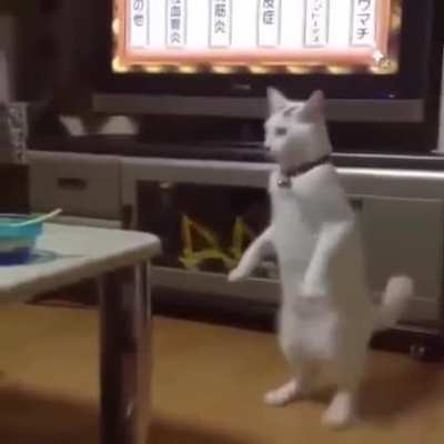 AI gets more human-like features