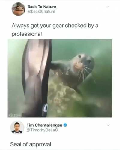 The seal of approval