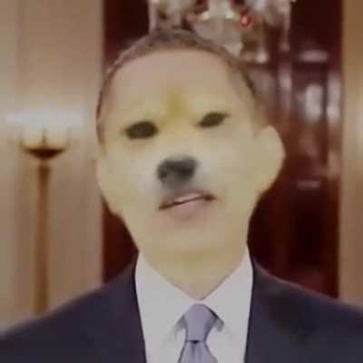dogebama