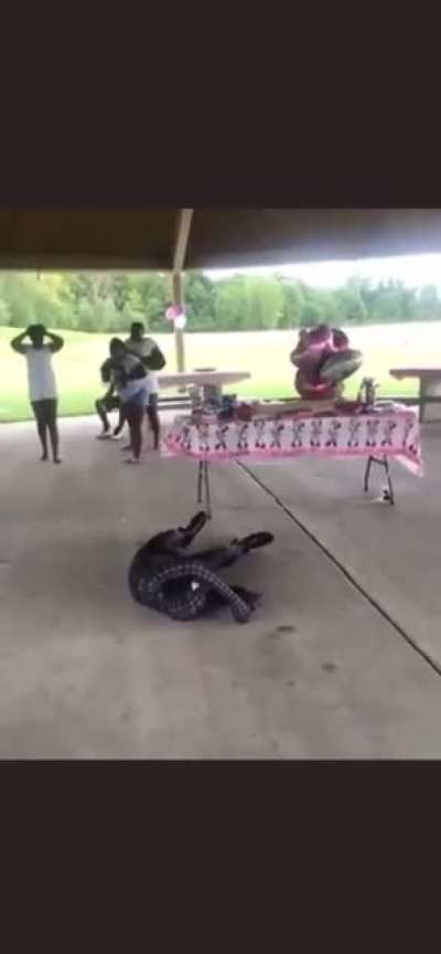 Nigga paid all that money just for the nigga to bust his ass 😭😭