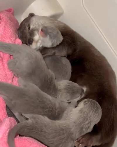 Omg, the hug!