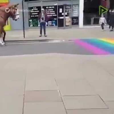 Juan 🐎🏳‍🌈🌈❌