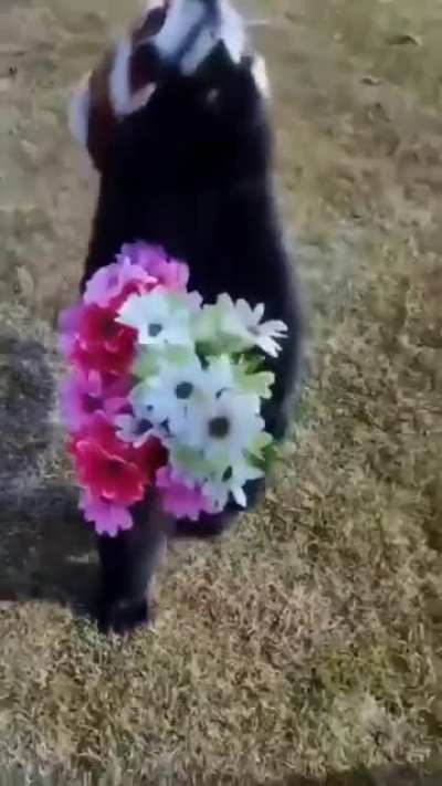 Hide your wife!