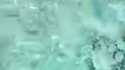 A few old videos, merged.