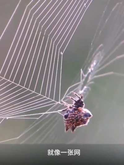你不拿，我怎么拿；我不拿，耿专员怎么拿；耿专员不拿，我们怎么进步。
