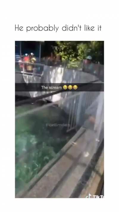 Heil Spez or some other title 