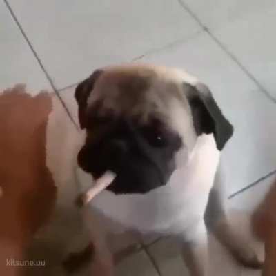 eu🚬nvr