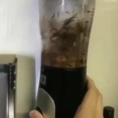 Blended a chick...