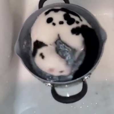 Extra long cow rat.