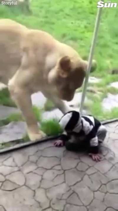 To eat a kid