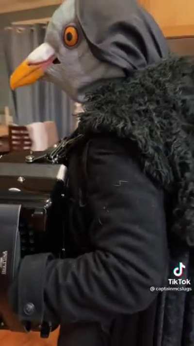 Accordion bird man.
