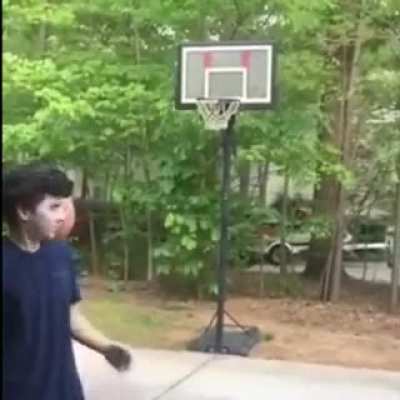 Xd