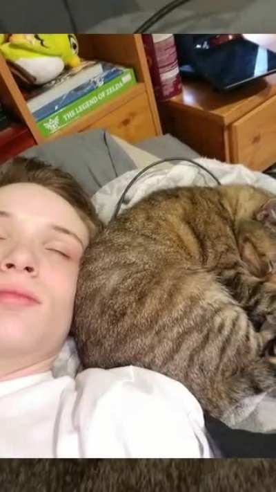 My phone mare this because it detected all the "cat" Photos I had