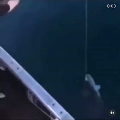 American Fishing