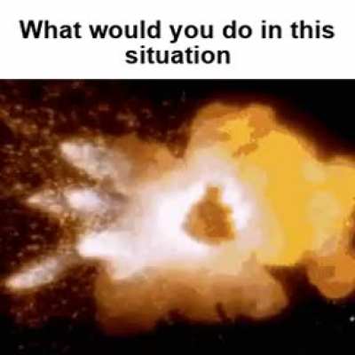 What would you do?