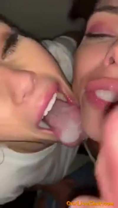 Holy fuck..