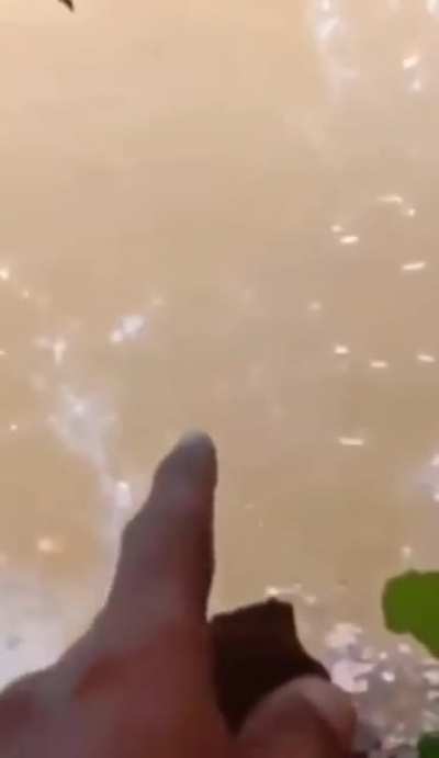 uhhh ok. no swimming for me