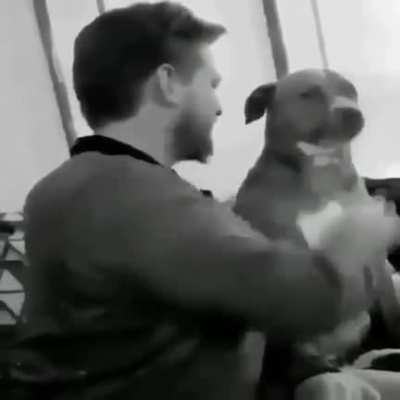 Perro truco